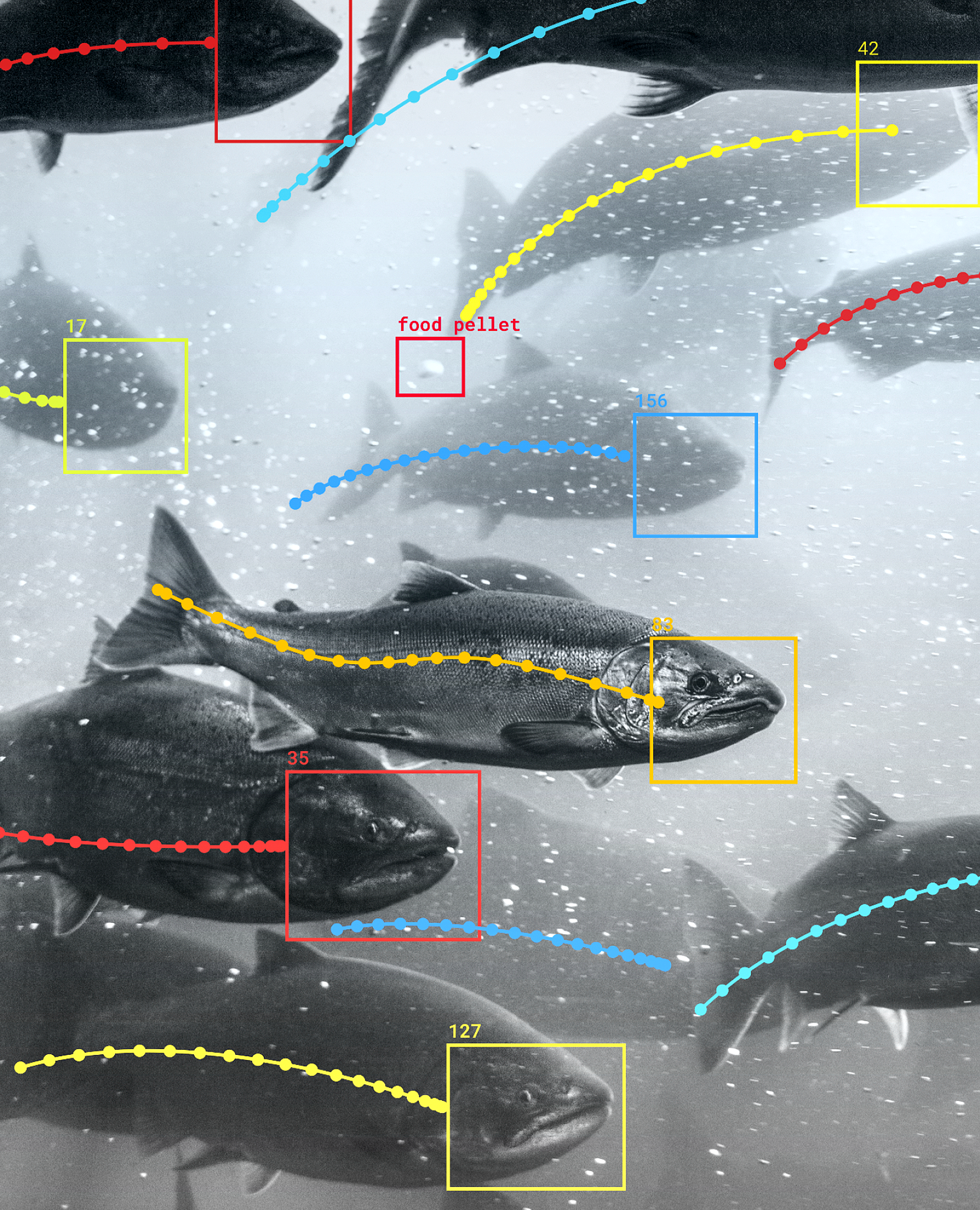 AI & Fisheries in Oman: Transforming a National Growth Sector